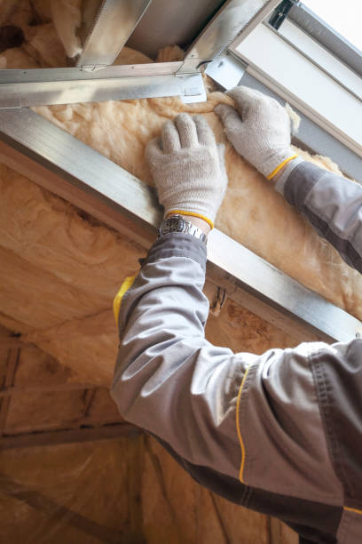 Best Cellulose Insulation in Bonney Lake, WA
