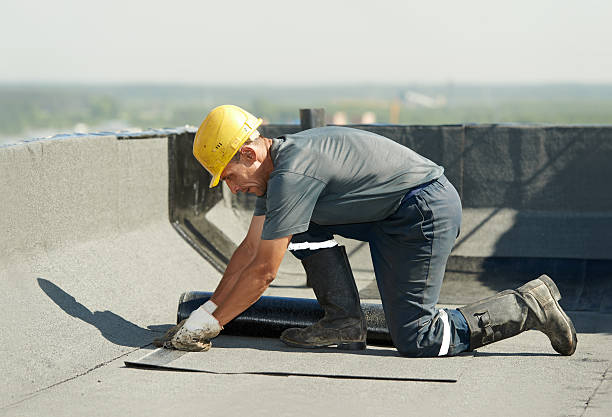 Best Eco-Friendly Insulation in Bonney Lake, WA