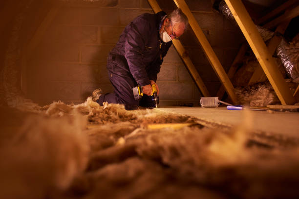 Types of Insulation We Offer in Bonney Lake, WA