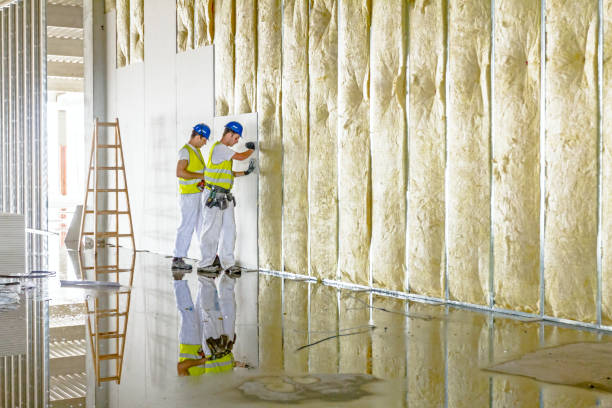 Best Specialized Insulation Services in Bonney Lake, WA